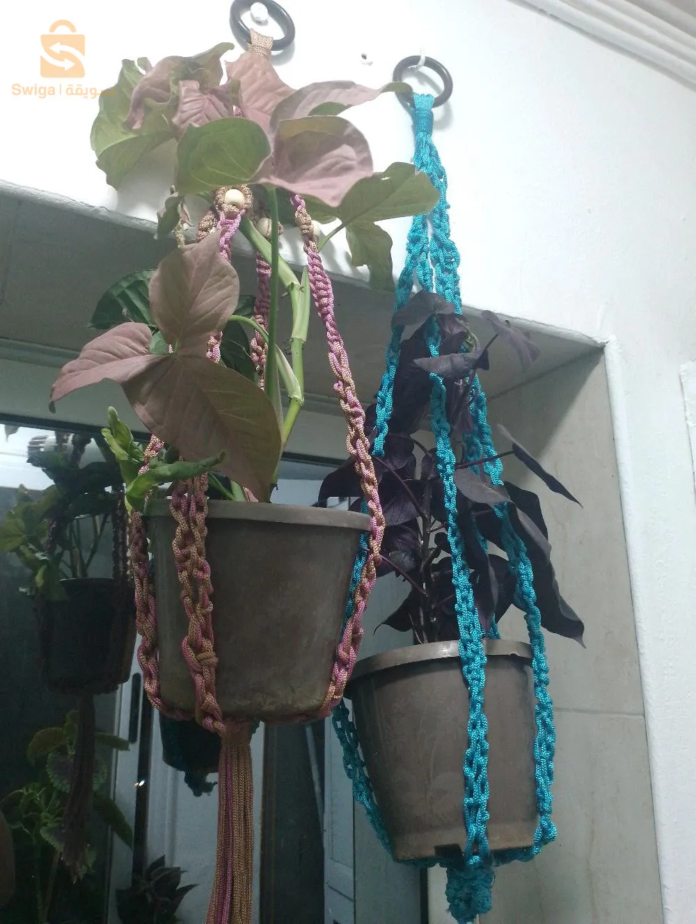 Indoors plant hanger