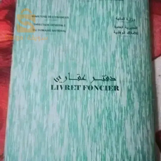تلمسان