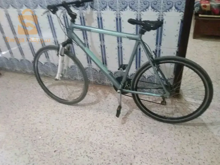 بوتوين كلش ريڨلو