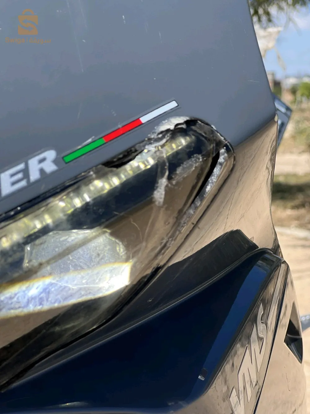 سطيف العلمة