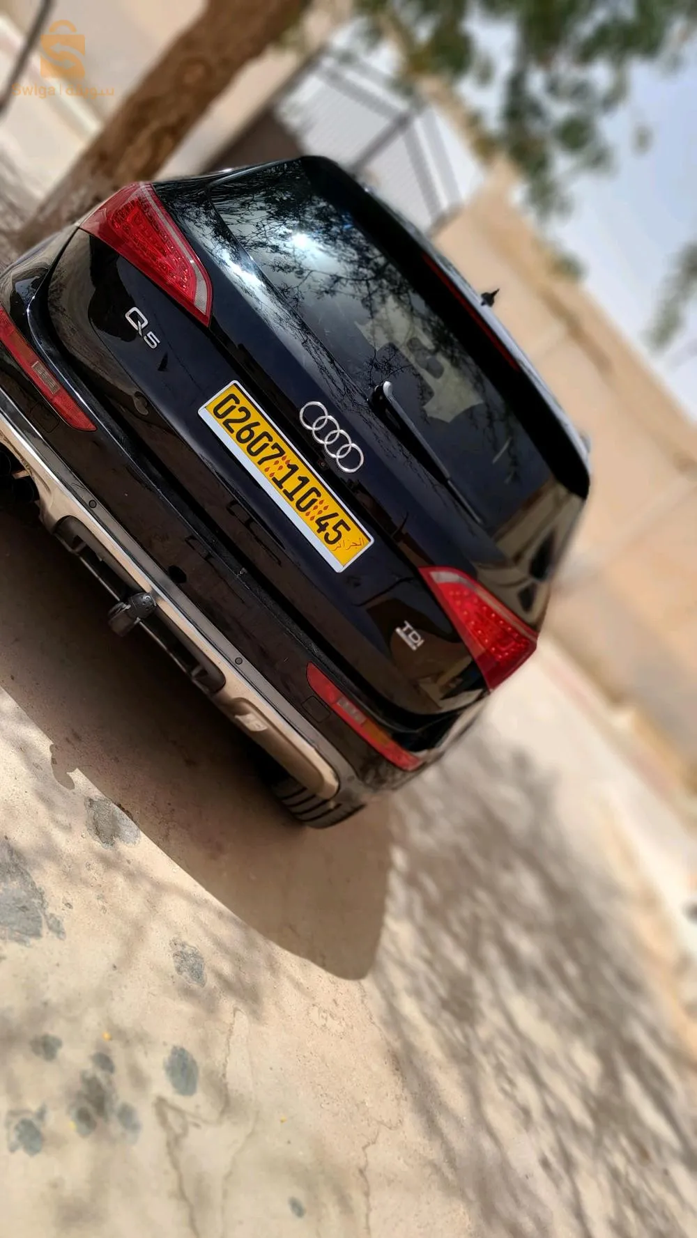 البيوض ولاية النعامة