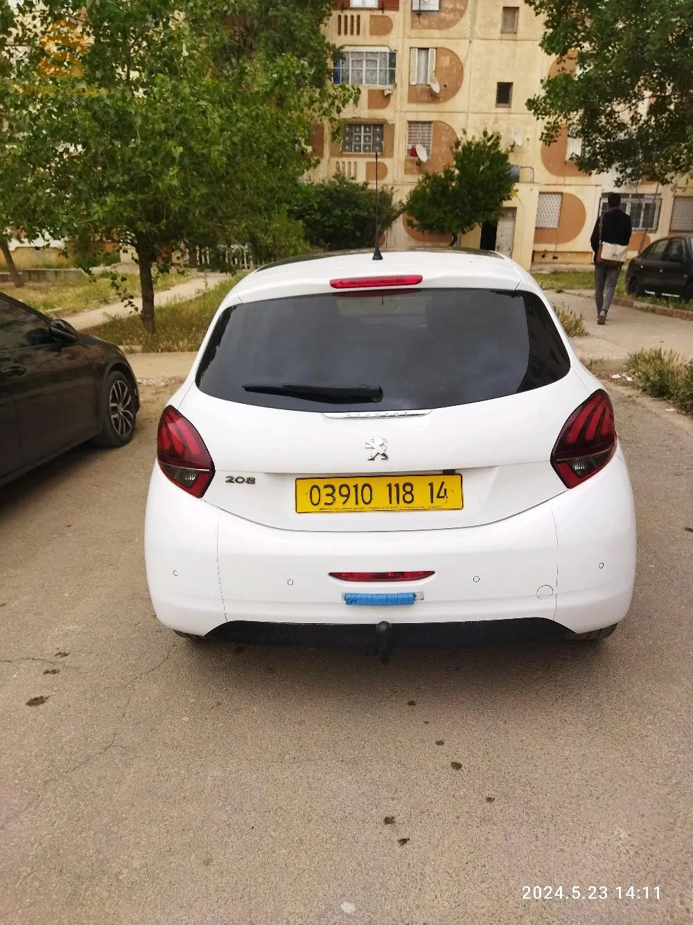 تيارت