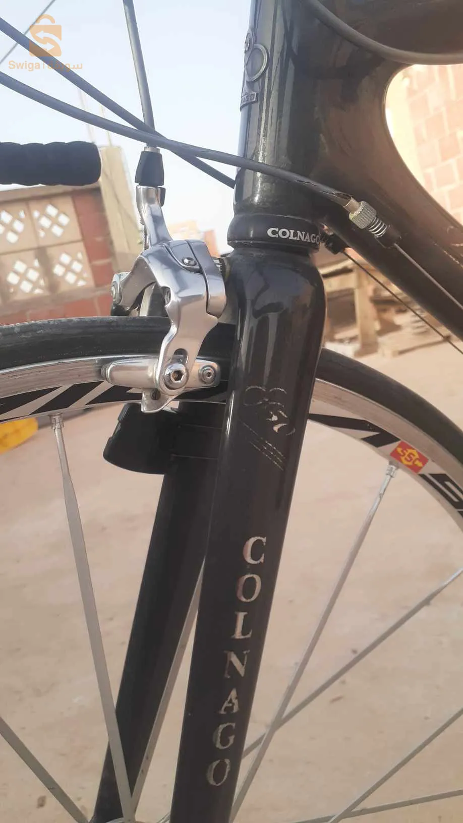 باتنة