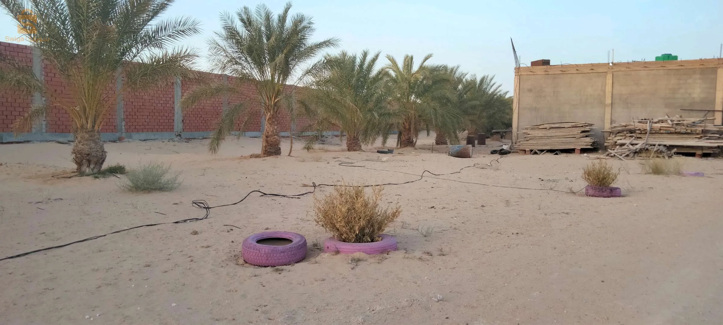 مزرعة للبيع
