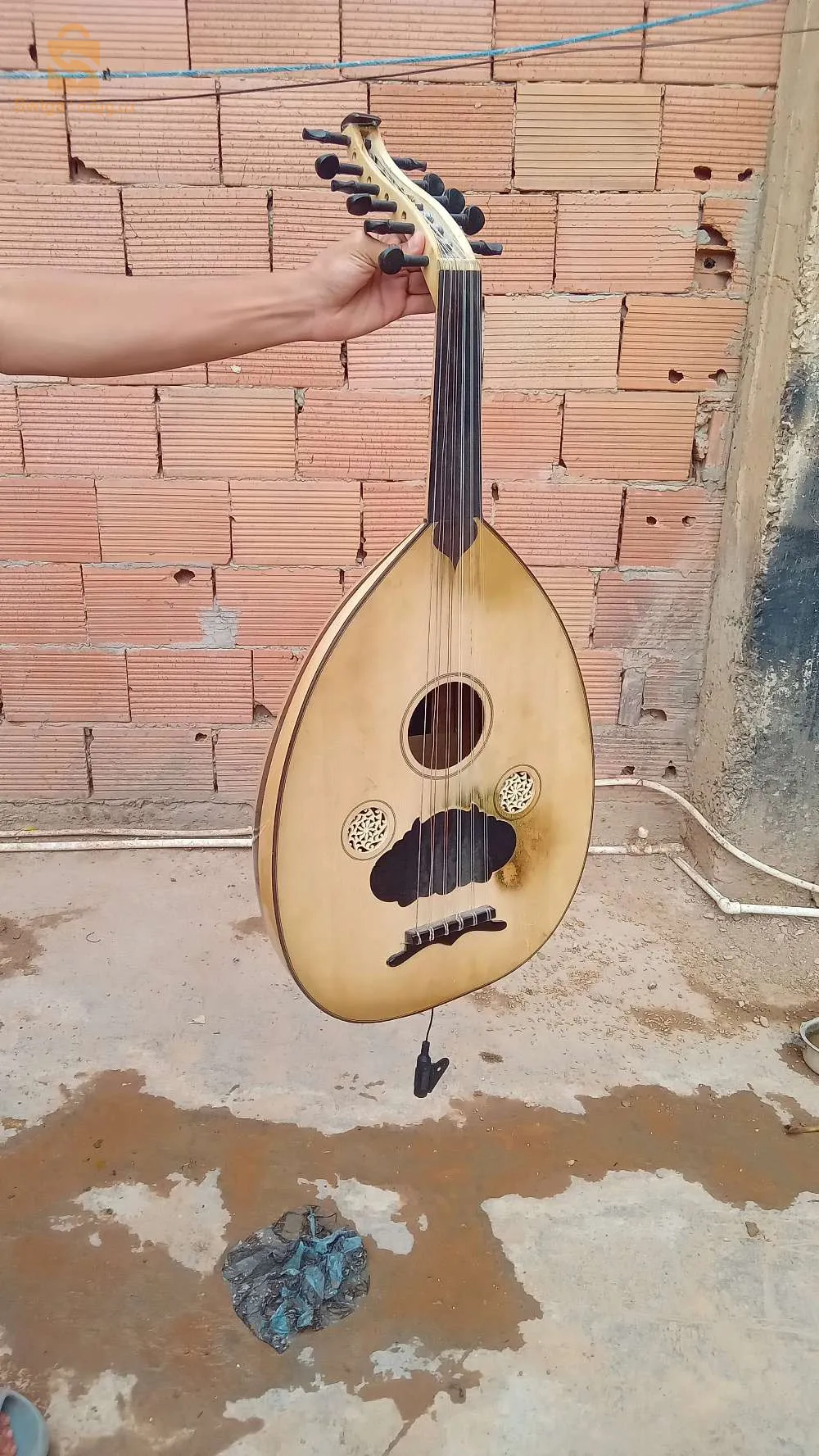 آلات موسيقية 🎼 🎶