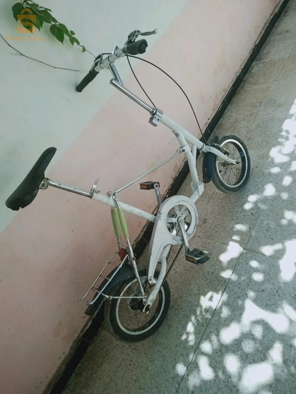 فيلو فرنسي فري صوليد