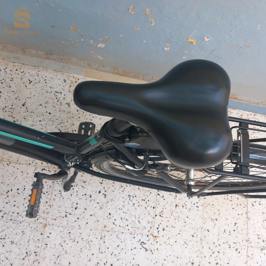 دراجة هوائية نوع Pegasus