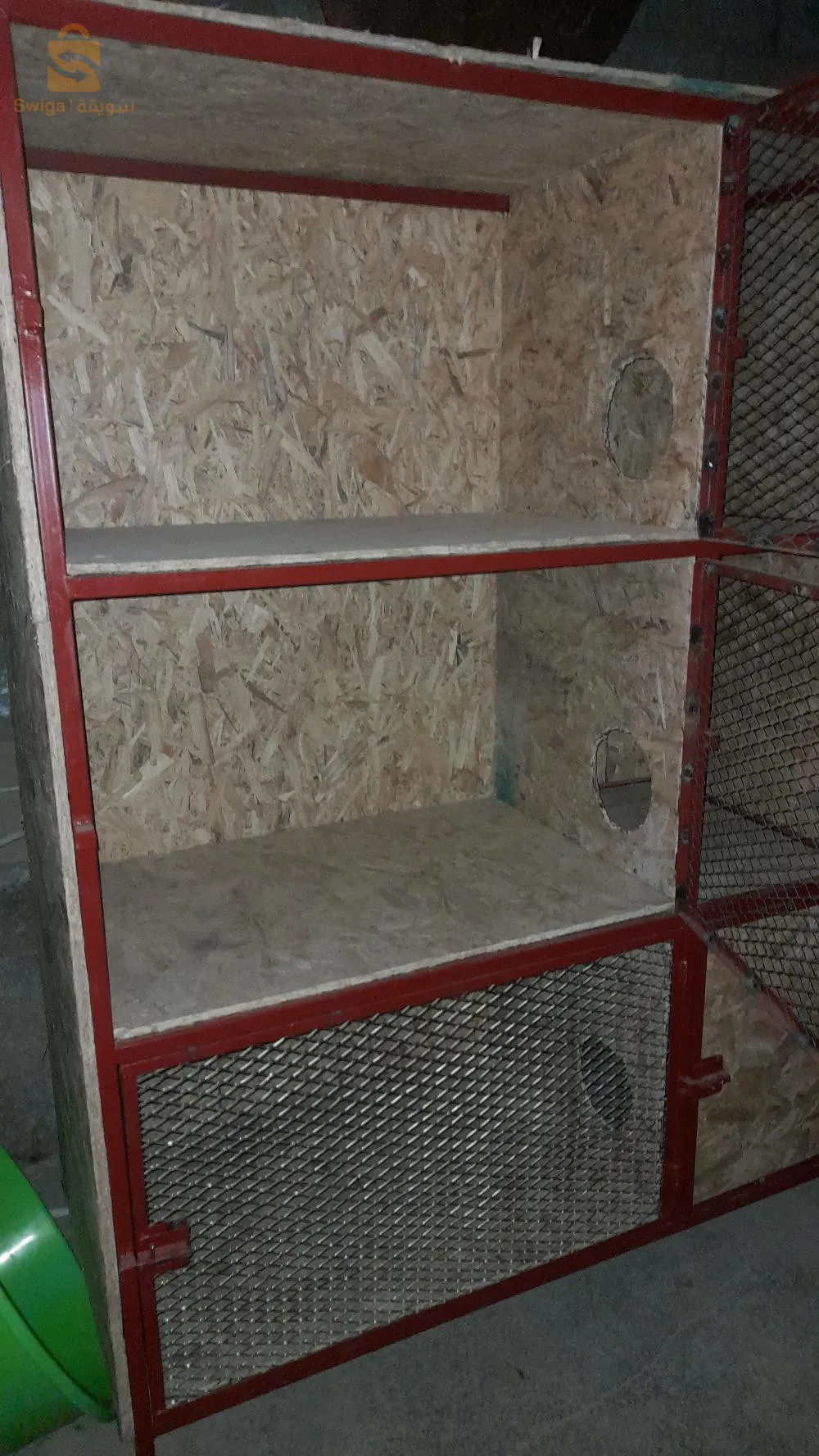 العلمة سطيف