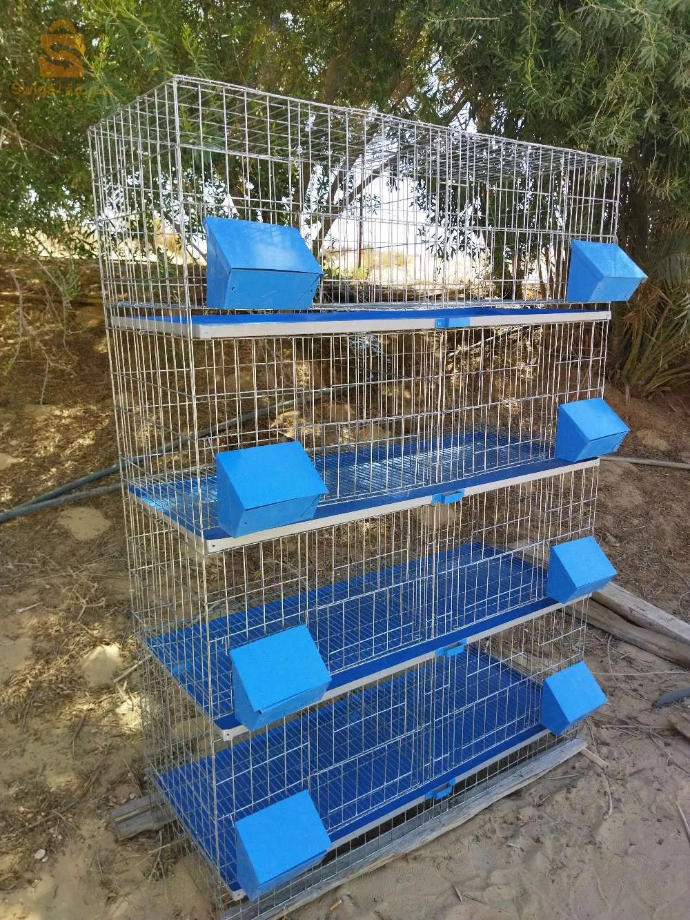 صنع بتريات الحمام والسمان