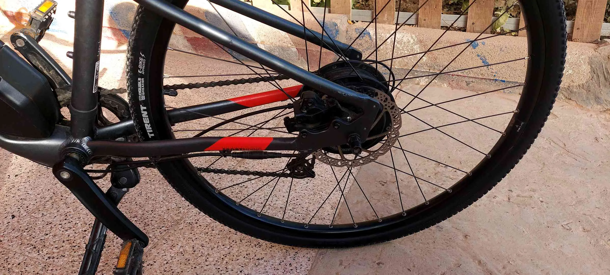 ولاية تيارت