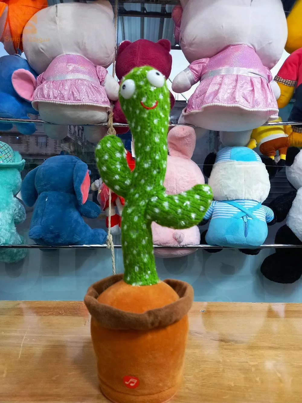 الصبارة الراقصة