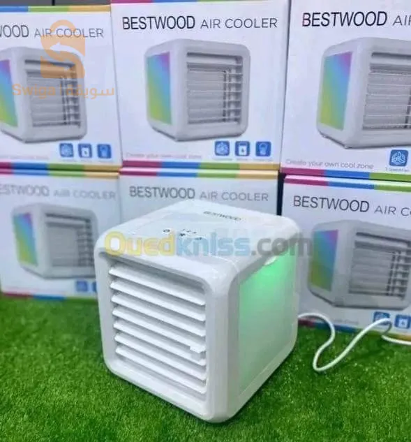 mini bestwood Portable refroidisseur