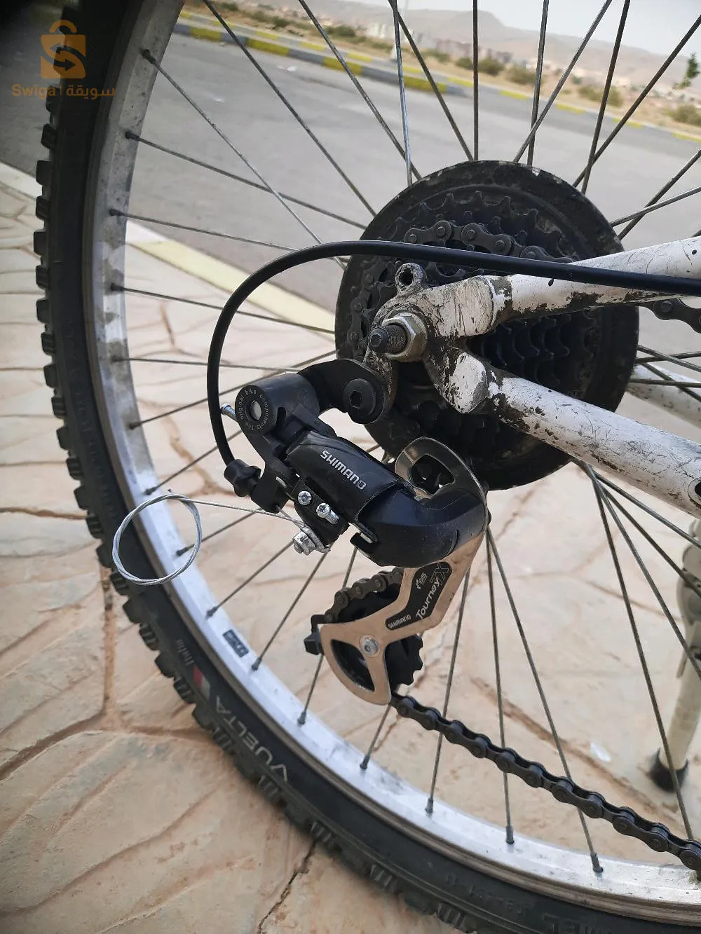 قصر البخاري