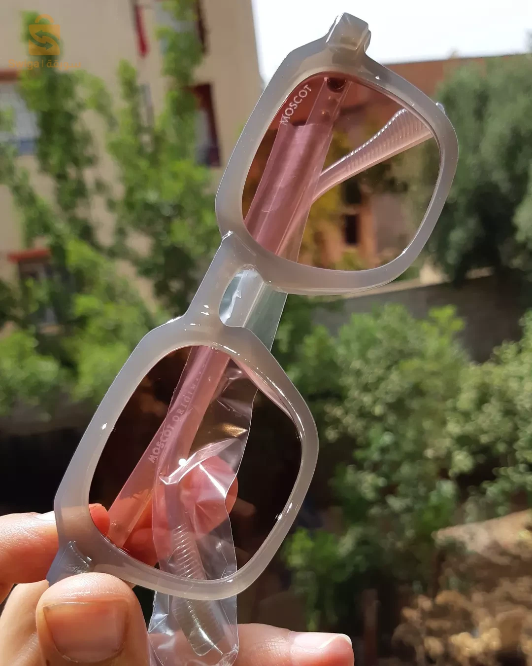 المنظر الجميل الحراش