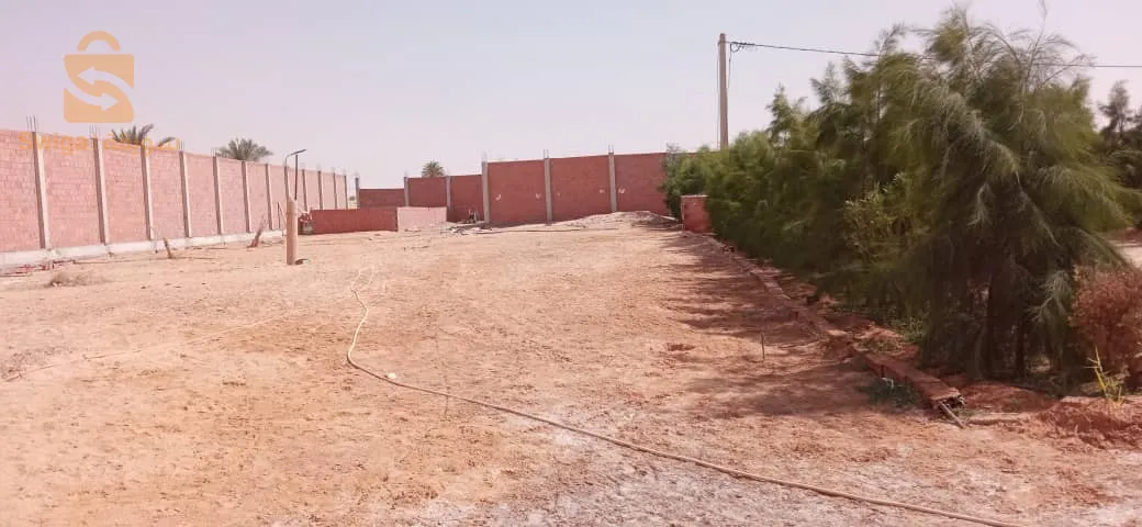ورقلة عوينة موسى