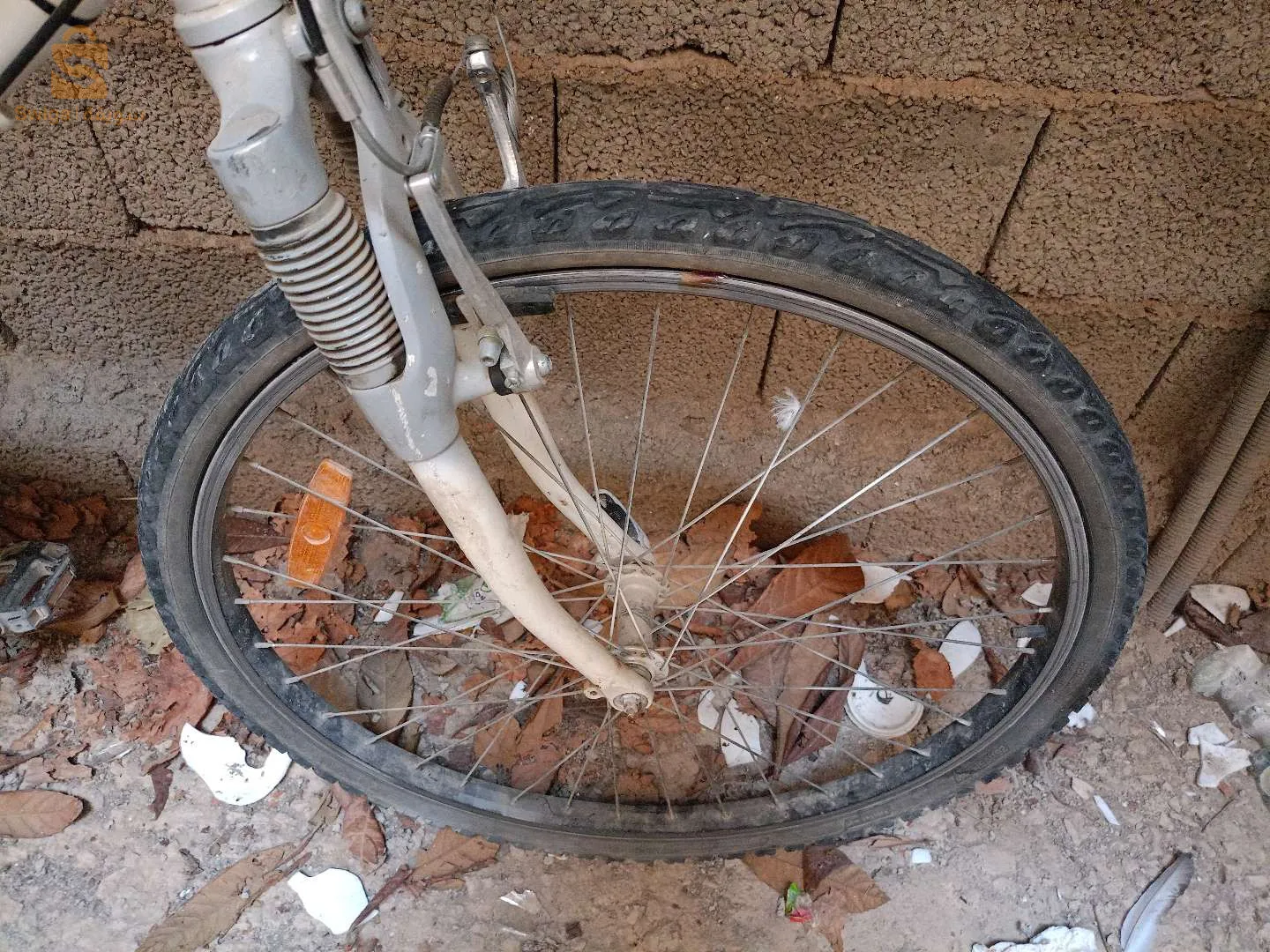 الغزوات ملعب 20 اوت