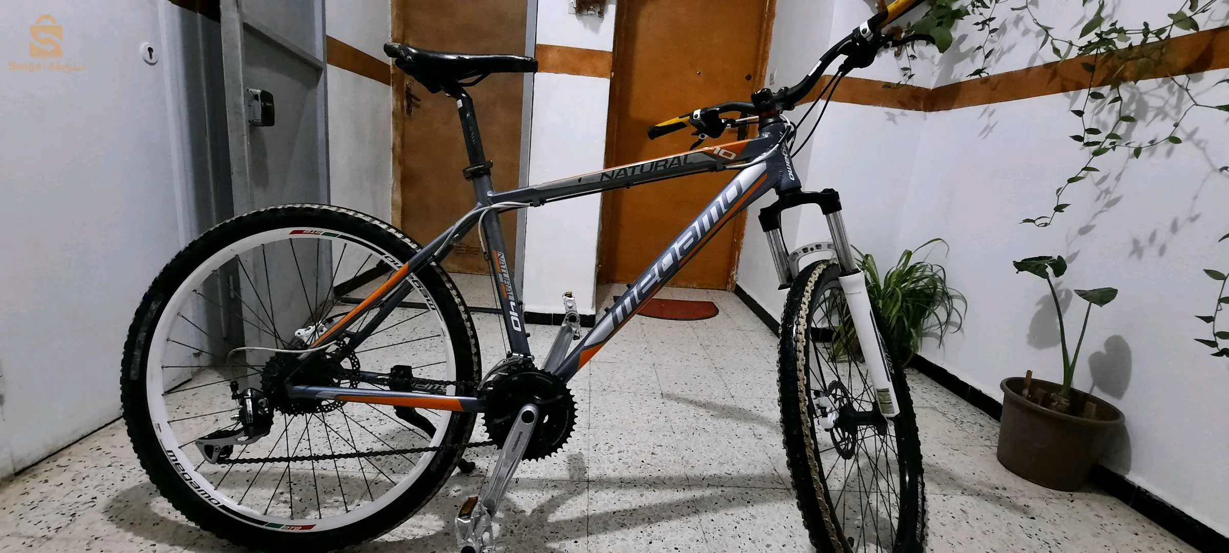 ✨️✨️✨️✨️✨️✨️✨️💪💪💪💪💪💪💪
  خاوتي لعزاز هايليكم جديدفيلو جديدة هيدروليك natural meogmo فيلو جديدة وكادر نقي وكلارة تاعها اوريجينال وطاي L