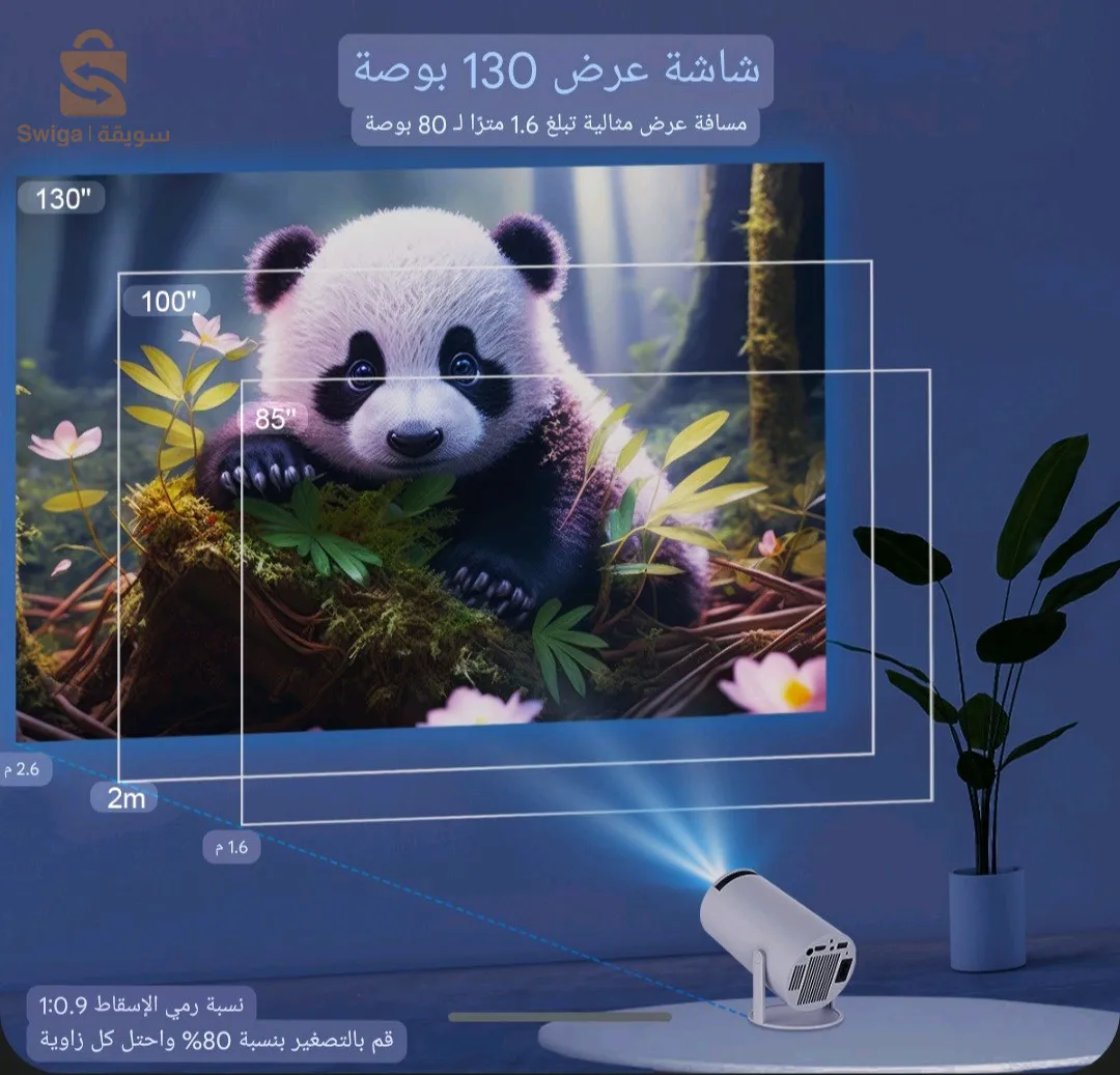 بين الويدان سكيكدة