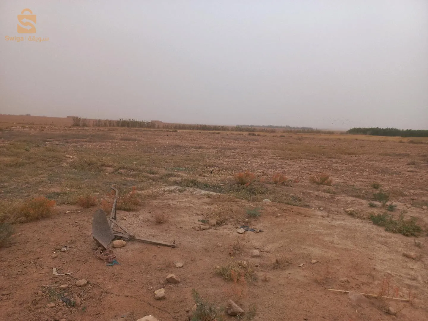 عين وسارة