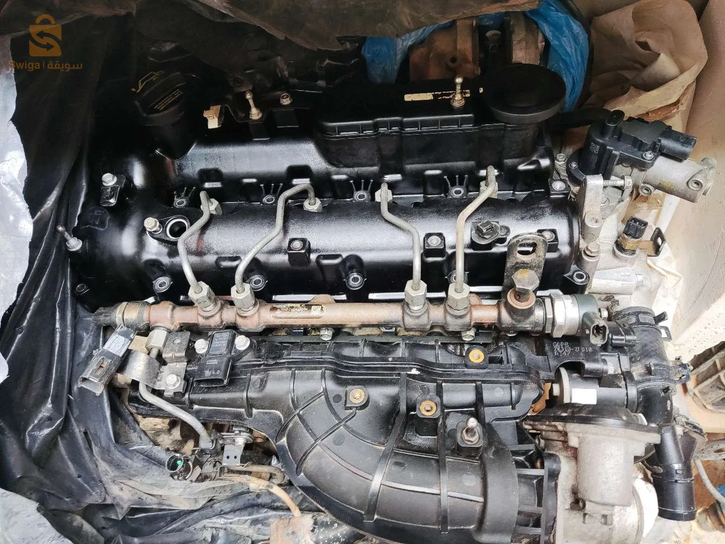 حي 1800 حاسي مسعود