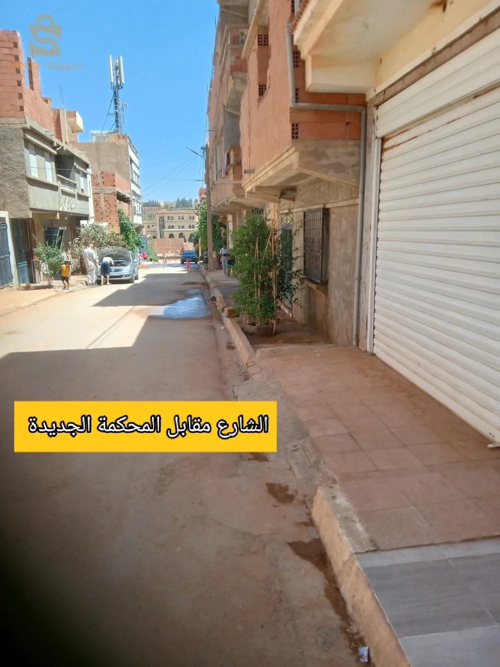فرندة ولاية تيارت