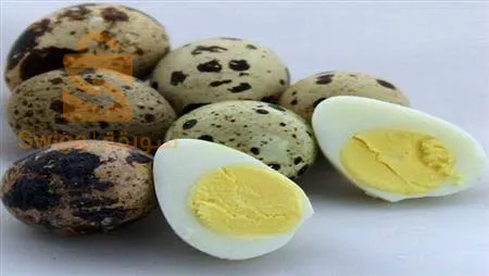 برج بوعريريج