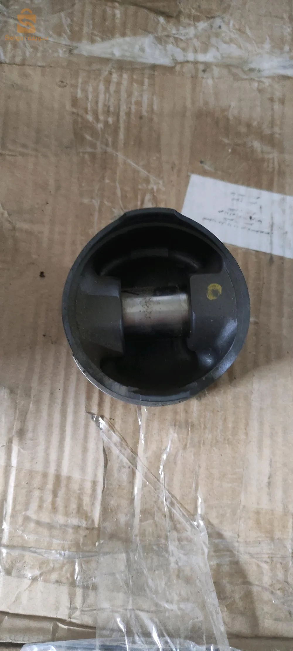 بيستو بيالة كمودو موتور سويڨلاس رونو 
  ميموار شيري