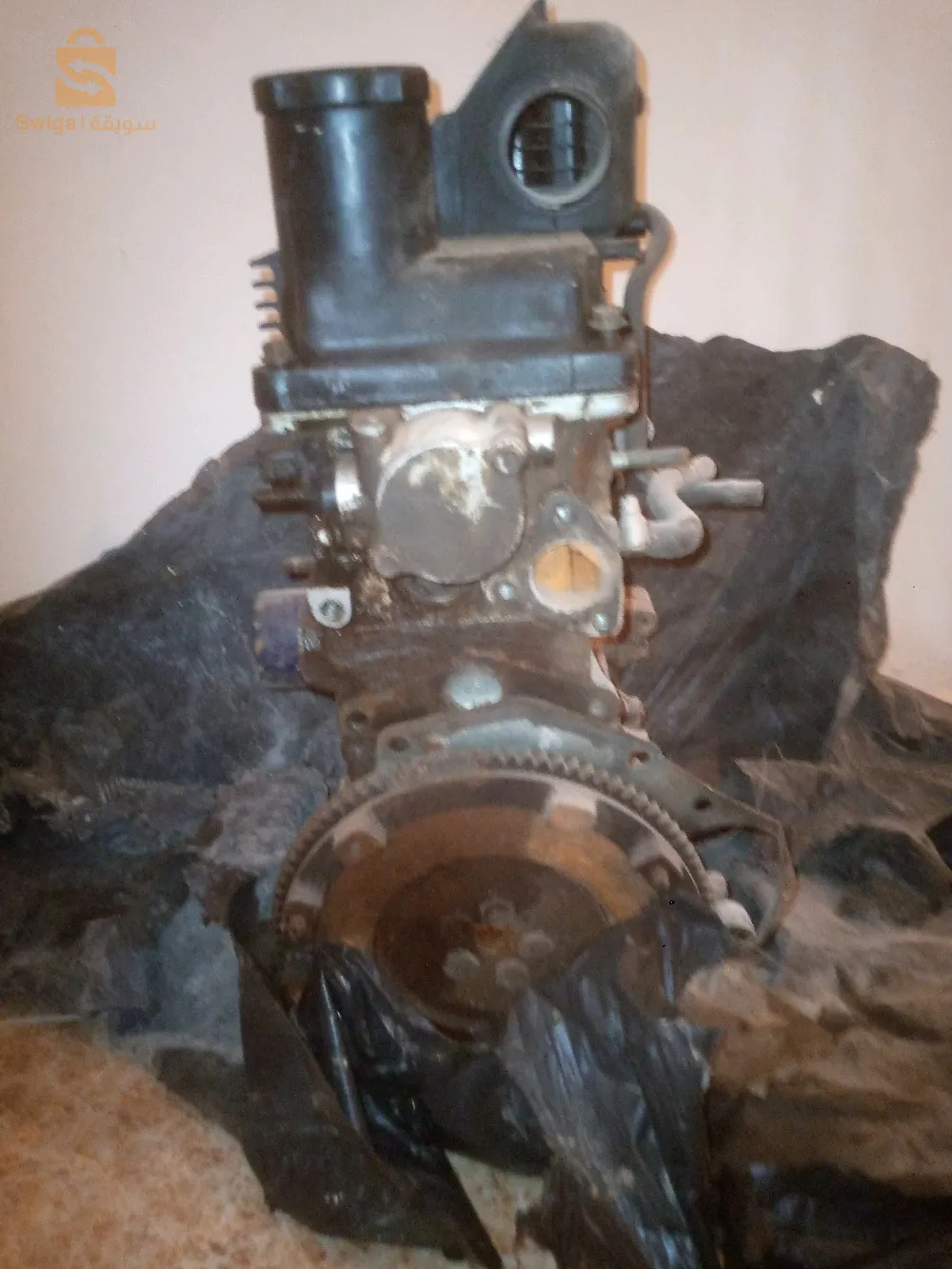 ولاية توقرت