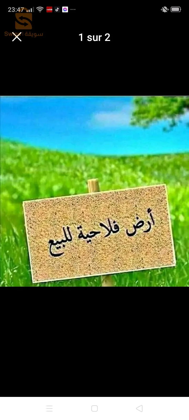 محمد البشير 115