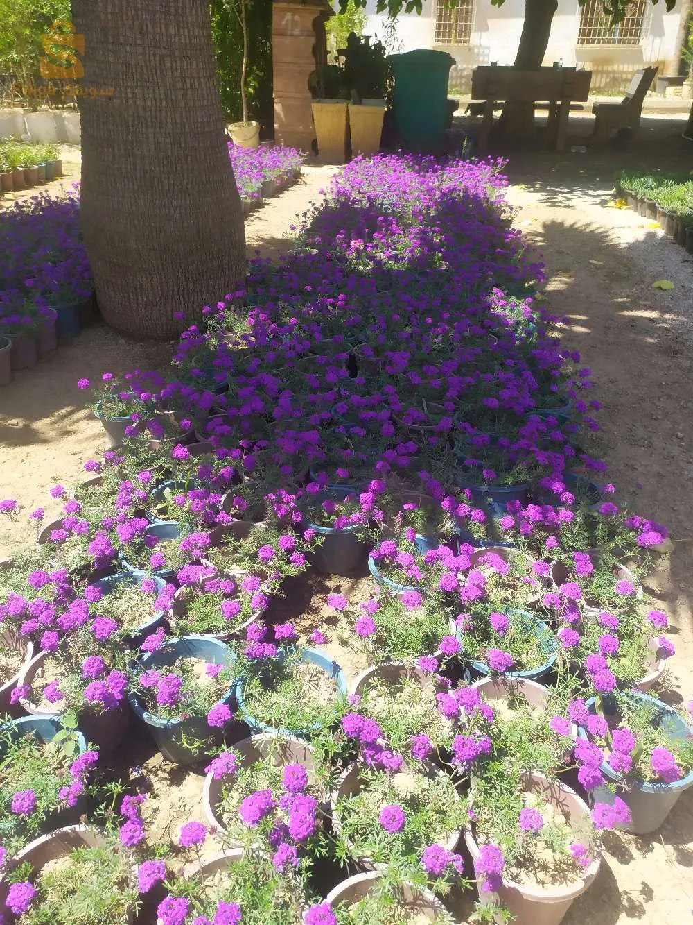 jardinerie