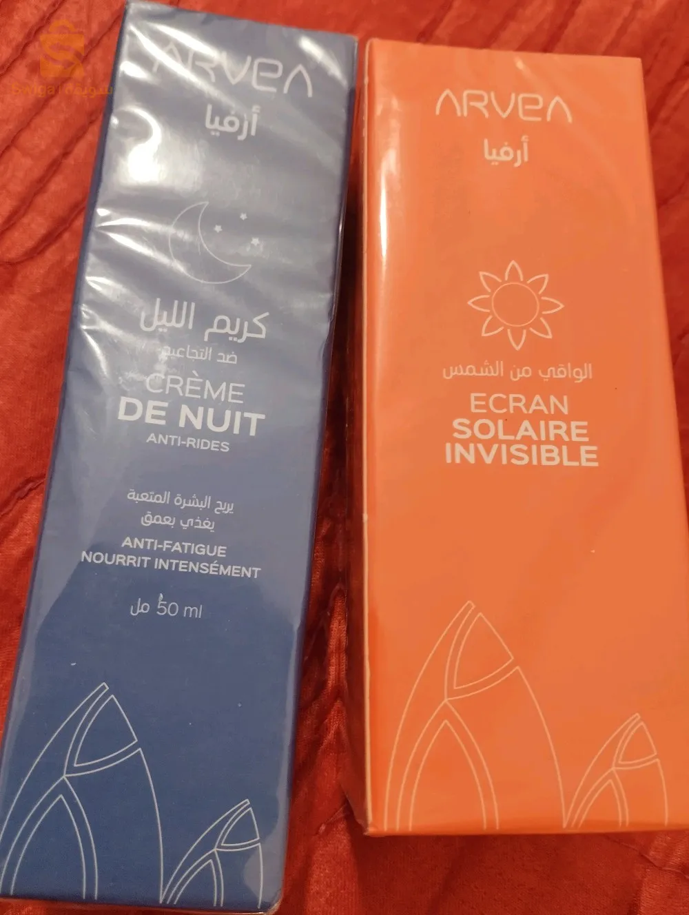 ام البواقي