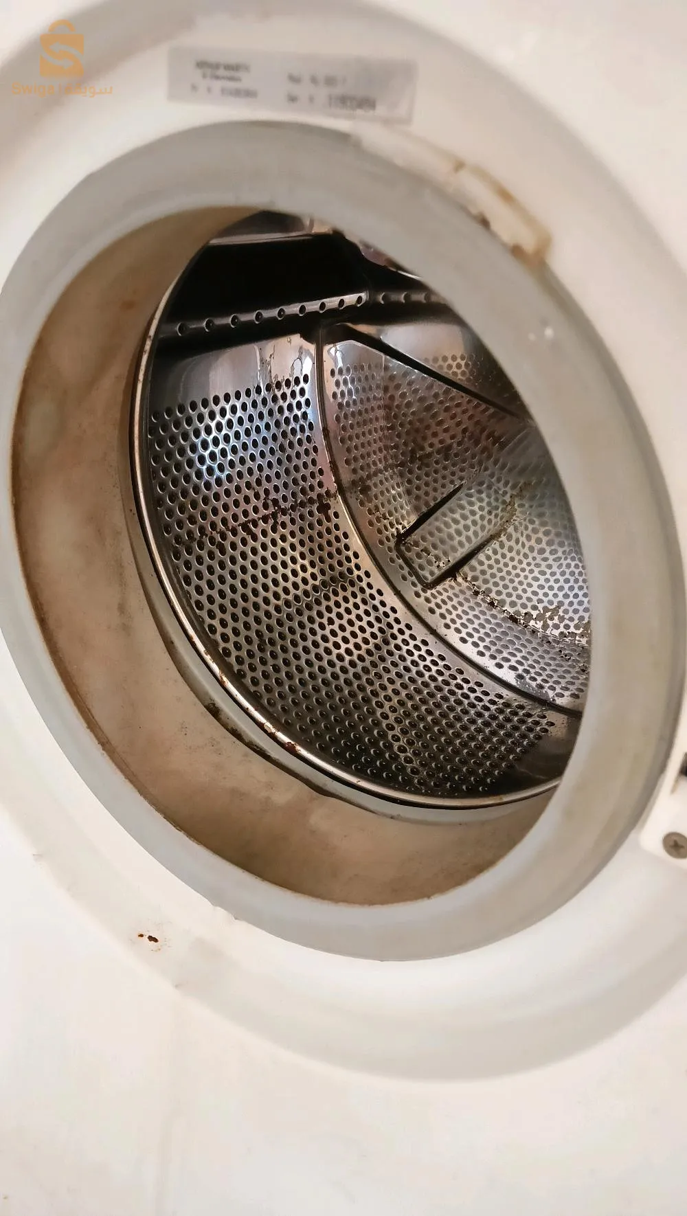 تاسوست جيجل