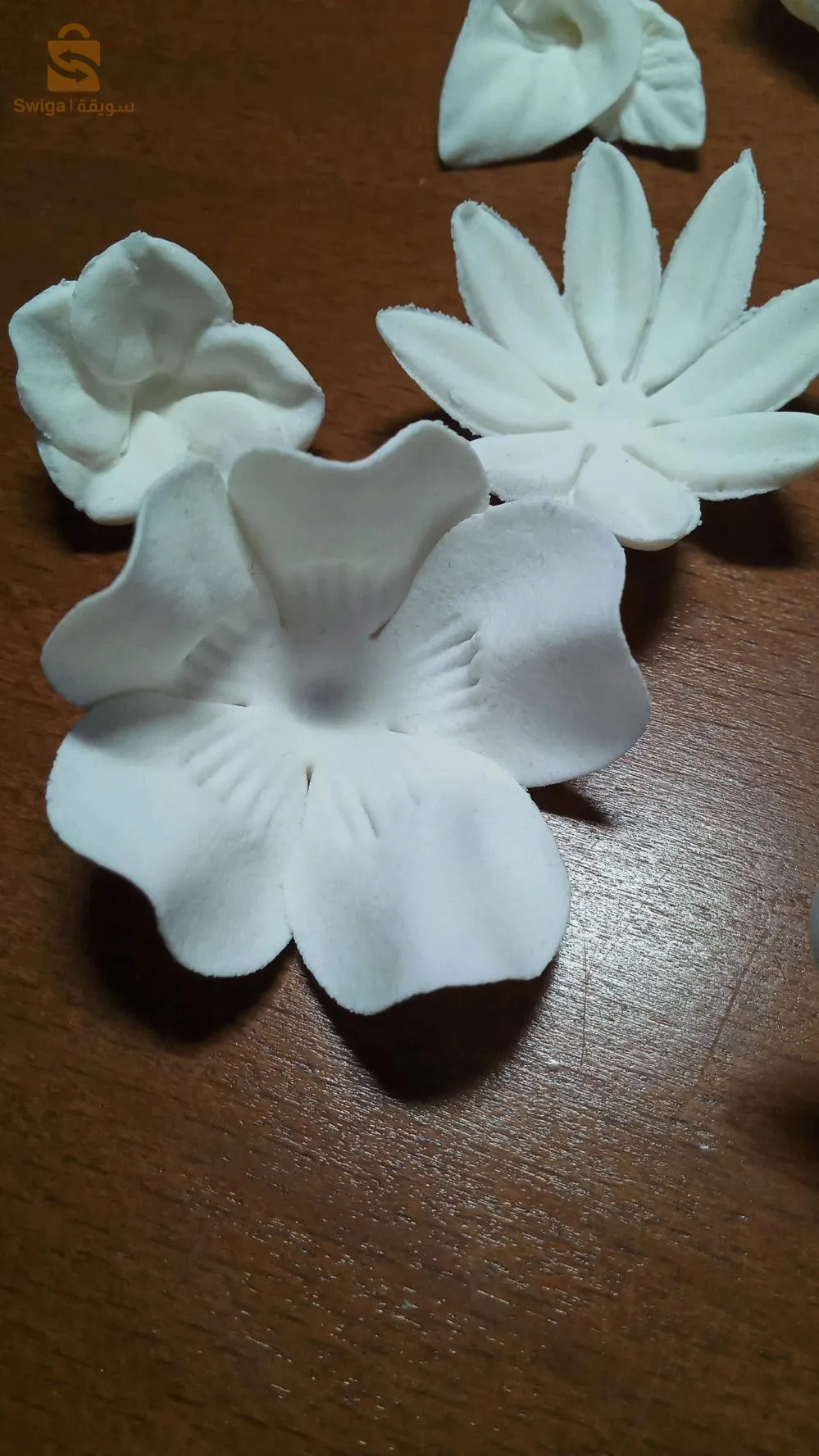 عين الدفلى وسط المدينة مع توفر التوصيل