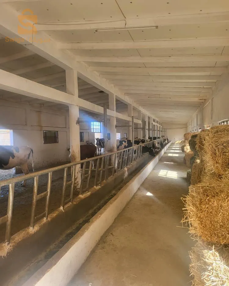 Ferme de production de lait