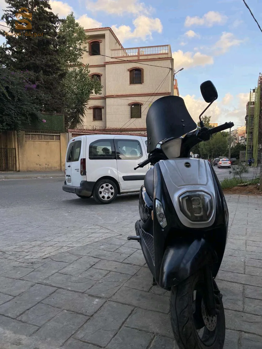 cuxi esteta x 2021
