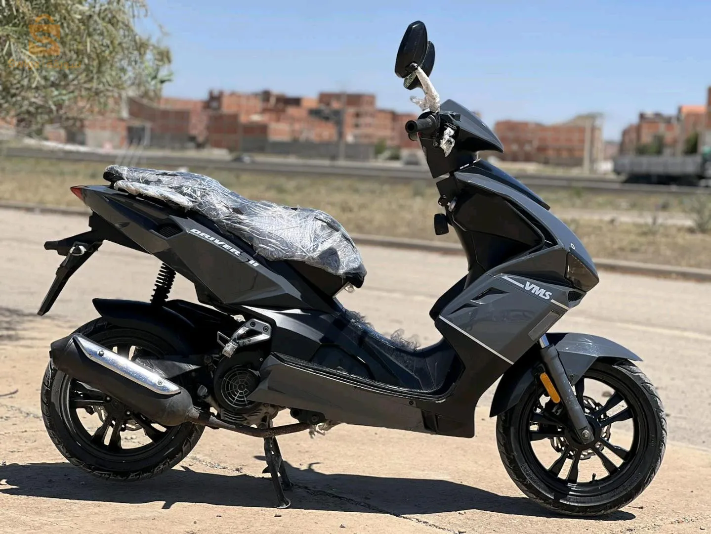 سطيف العلمة