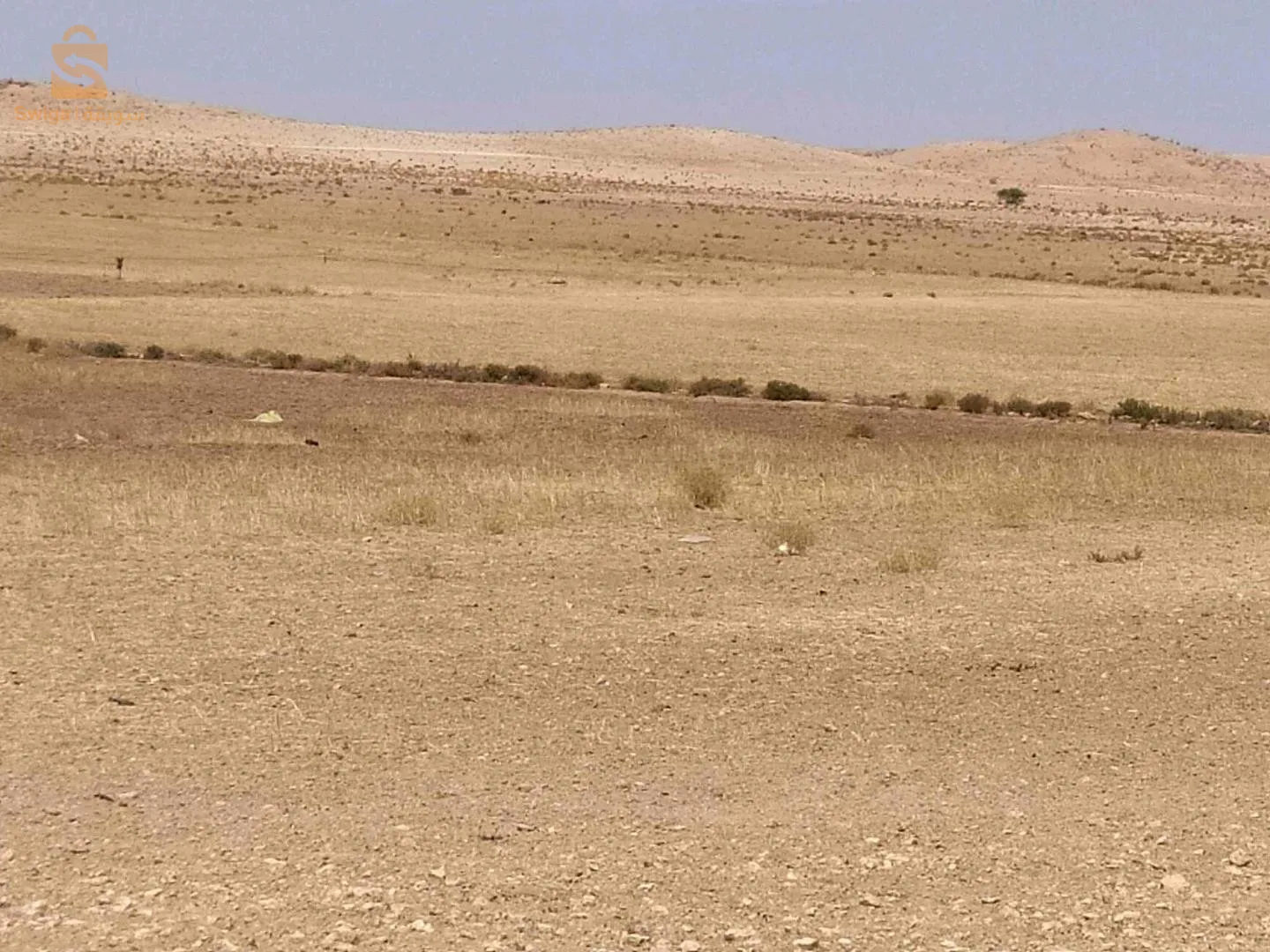 ولاية الجلفة حاسي فدول