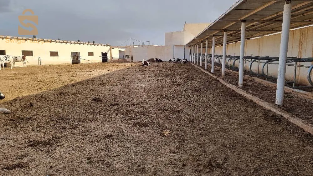 Ferme de production de lait