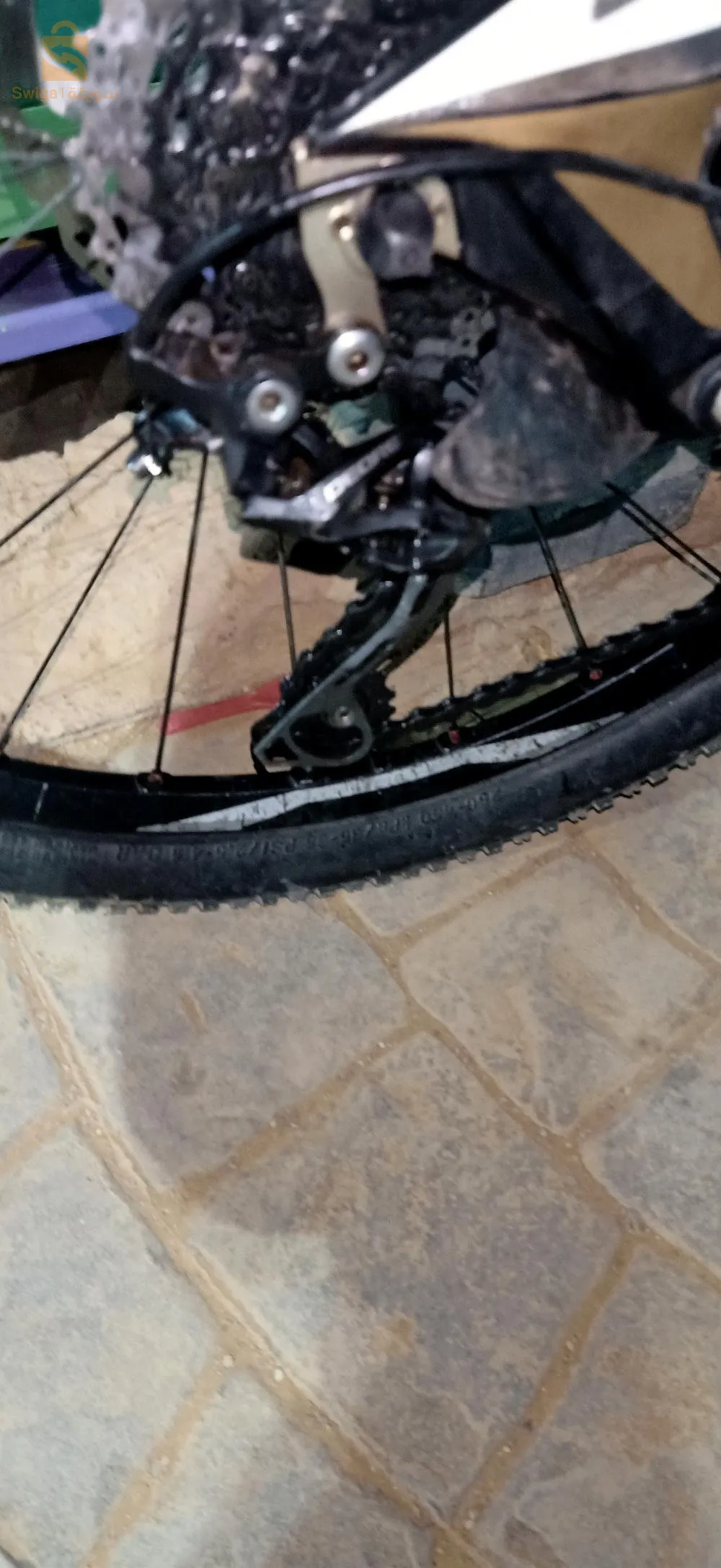 سعيدة حي. صومام