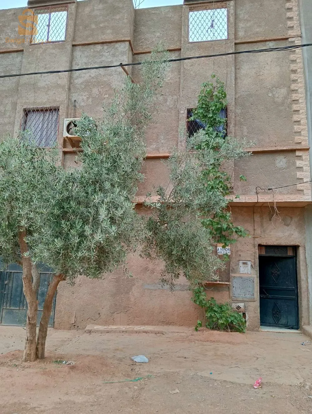 حي ميصالي الحاج مغنية