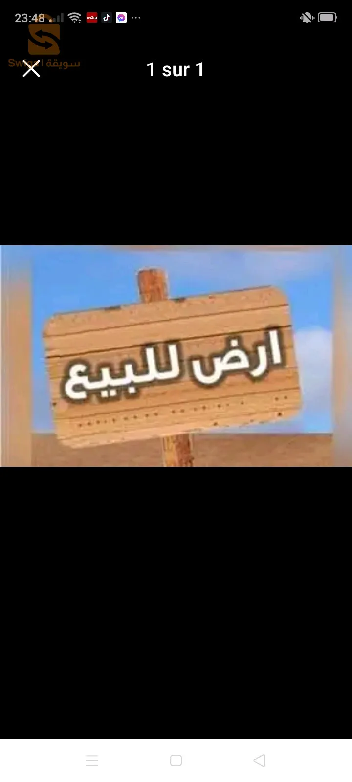 محمد البشير 115