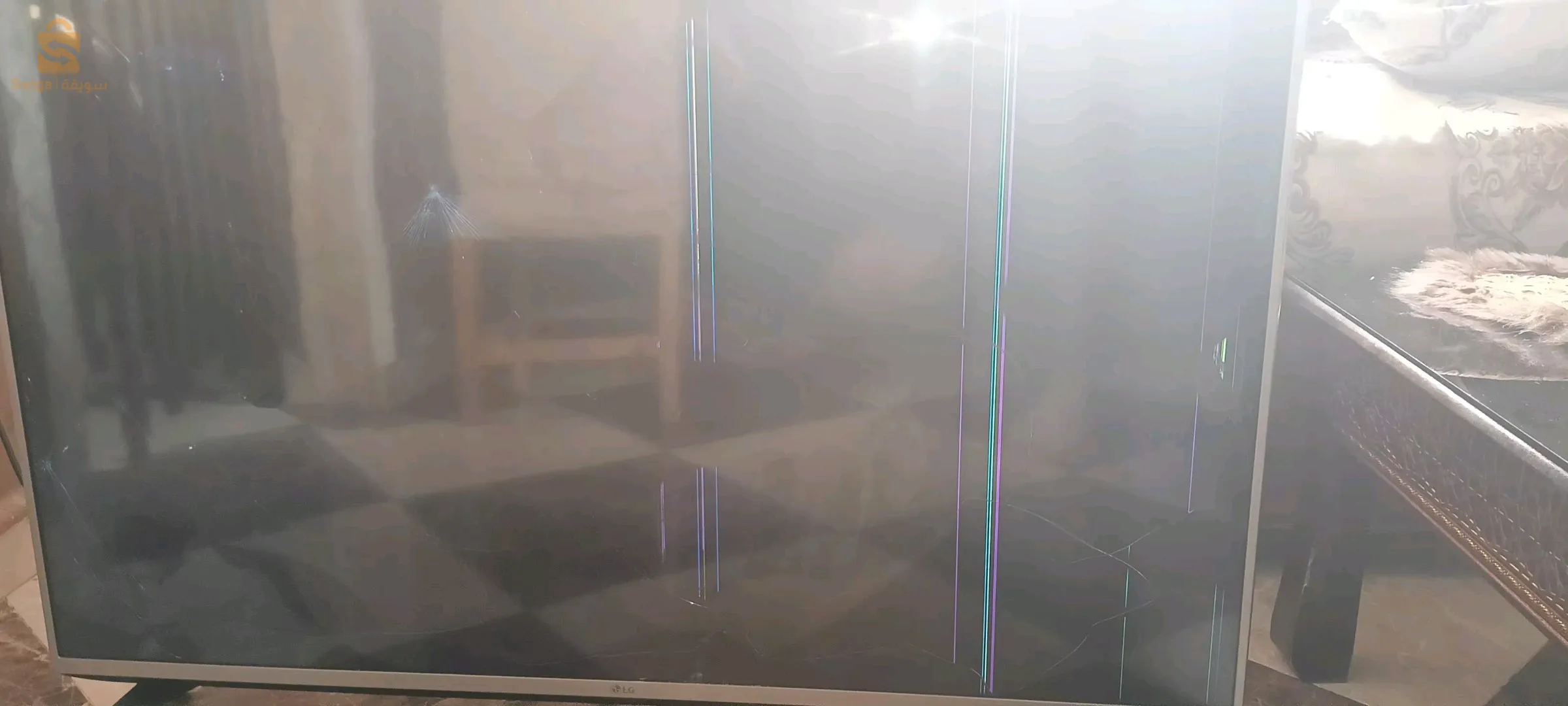 باش جراح حي البدر