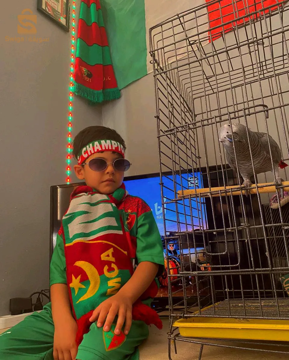 عين المالحة 2