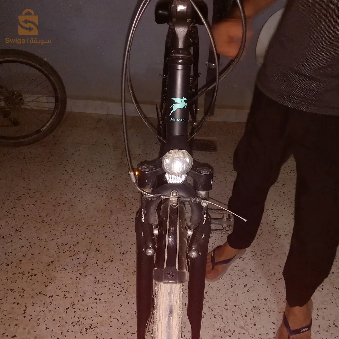دراجة هوائية نوع Pegasus