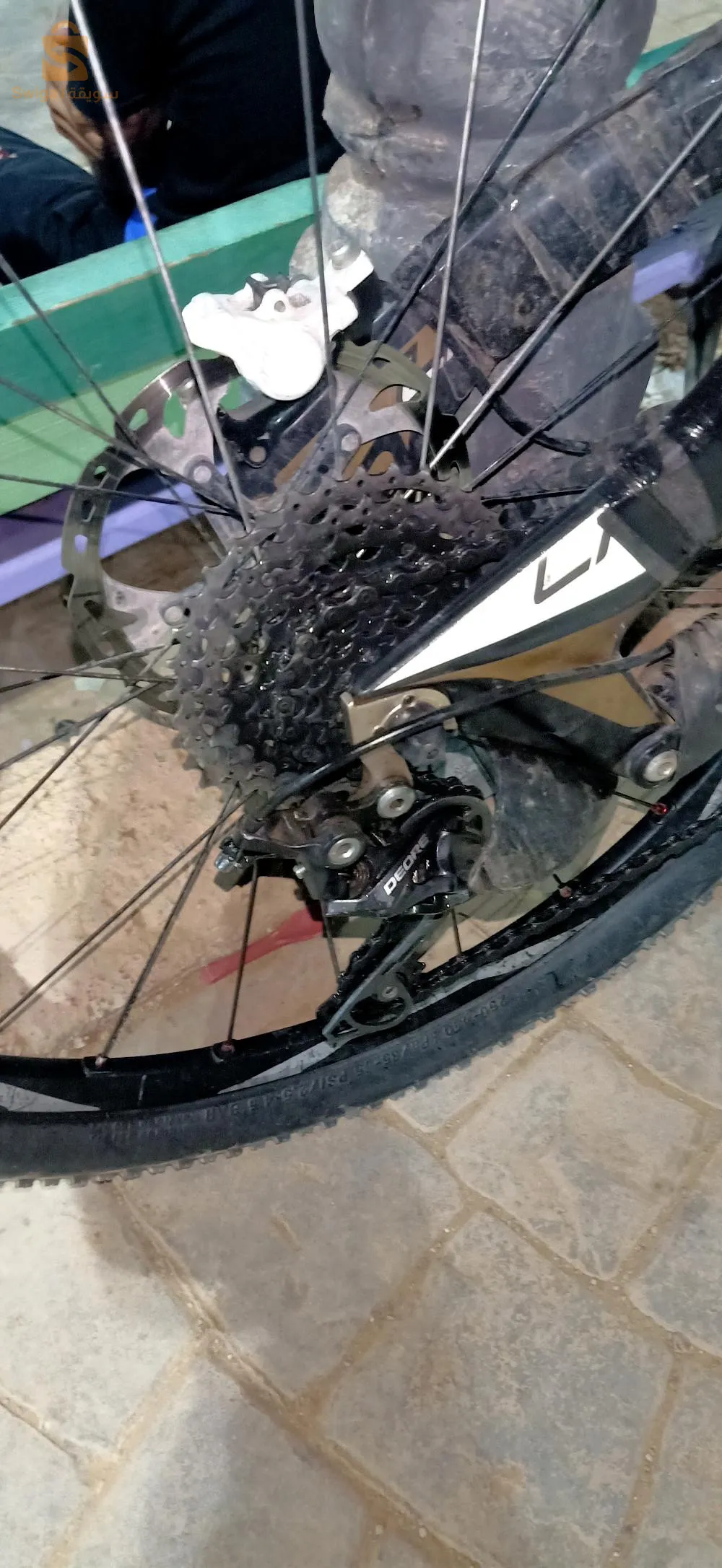 سعيدة حي. صومام