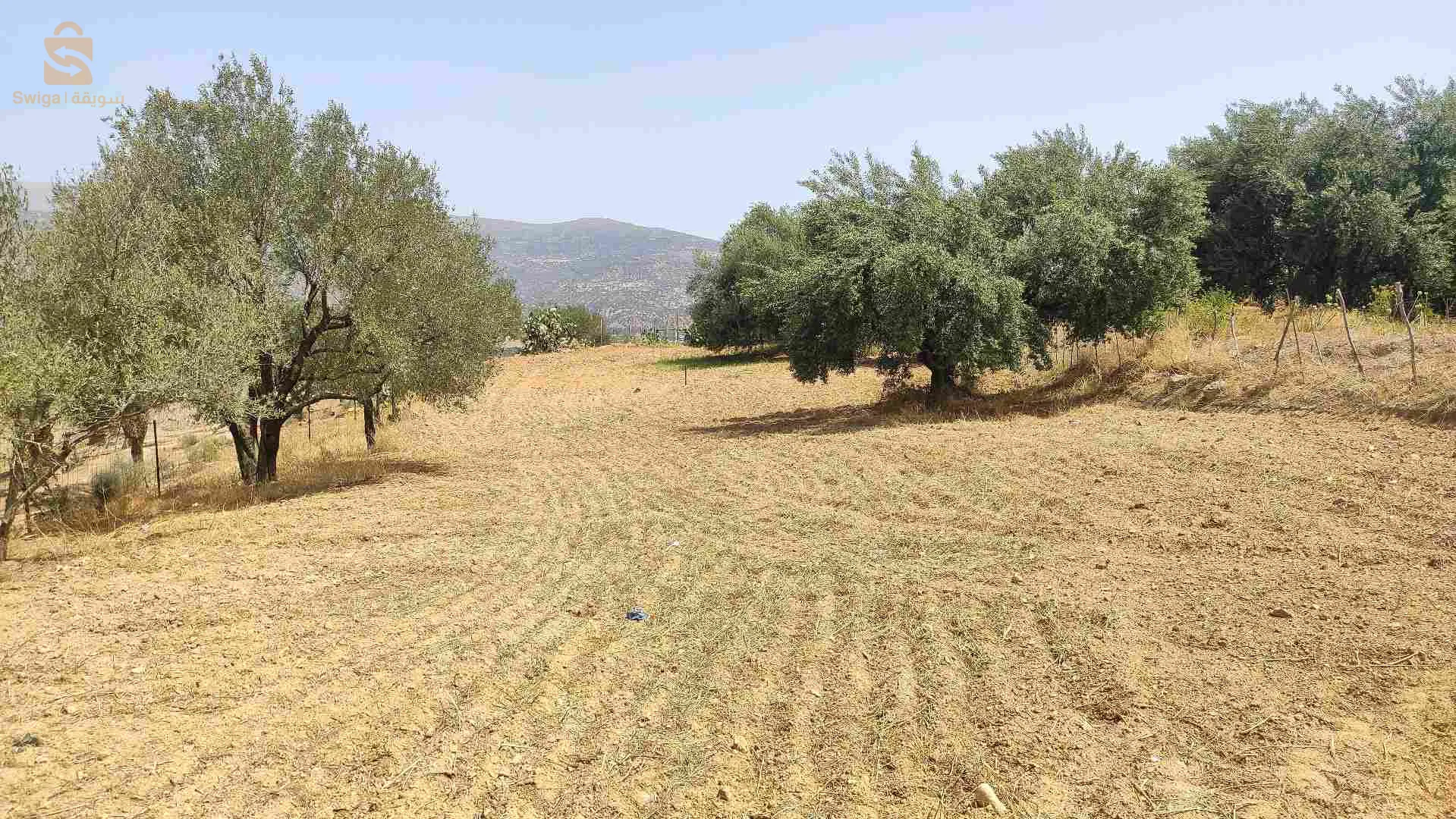 قطعة ارض للبيع مساحة 1600متر افتيس بوعزيز بلدية بوجليل ولاية بجاية الوثائق عقد ملكية فيها الغاز الكهرباء الماء منطقة سكانية