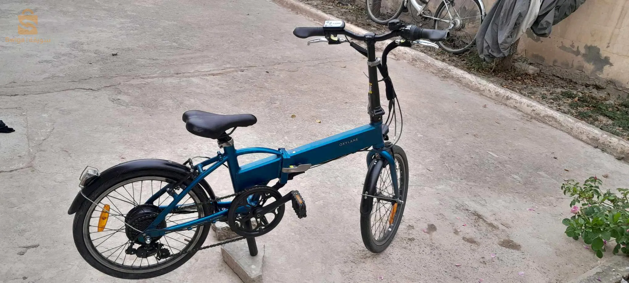 فيلو اليكتريك بصولحها دوريجين نقية مشاء الله