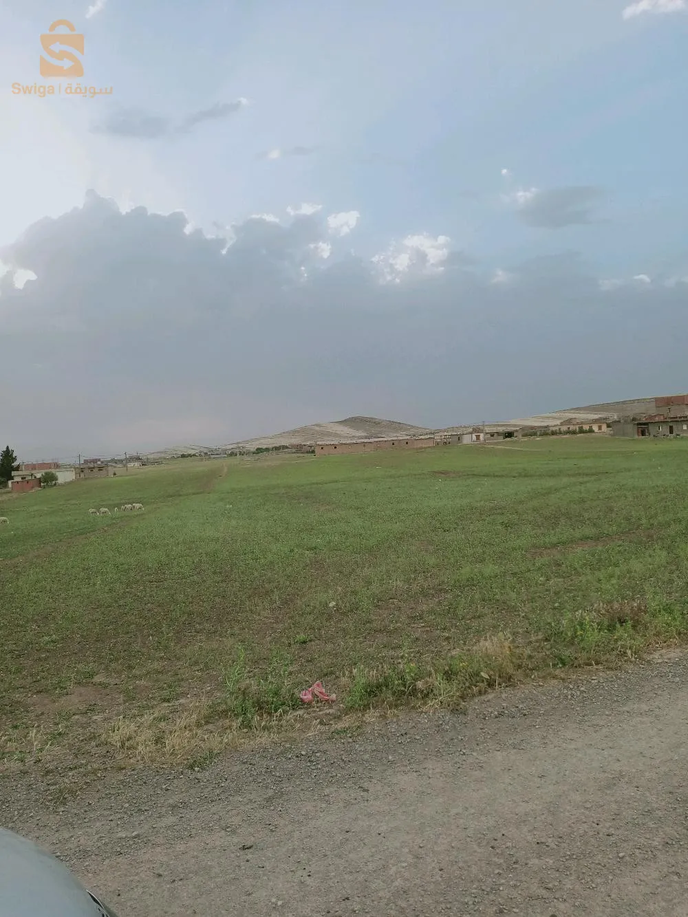 اولاد سي احمد