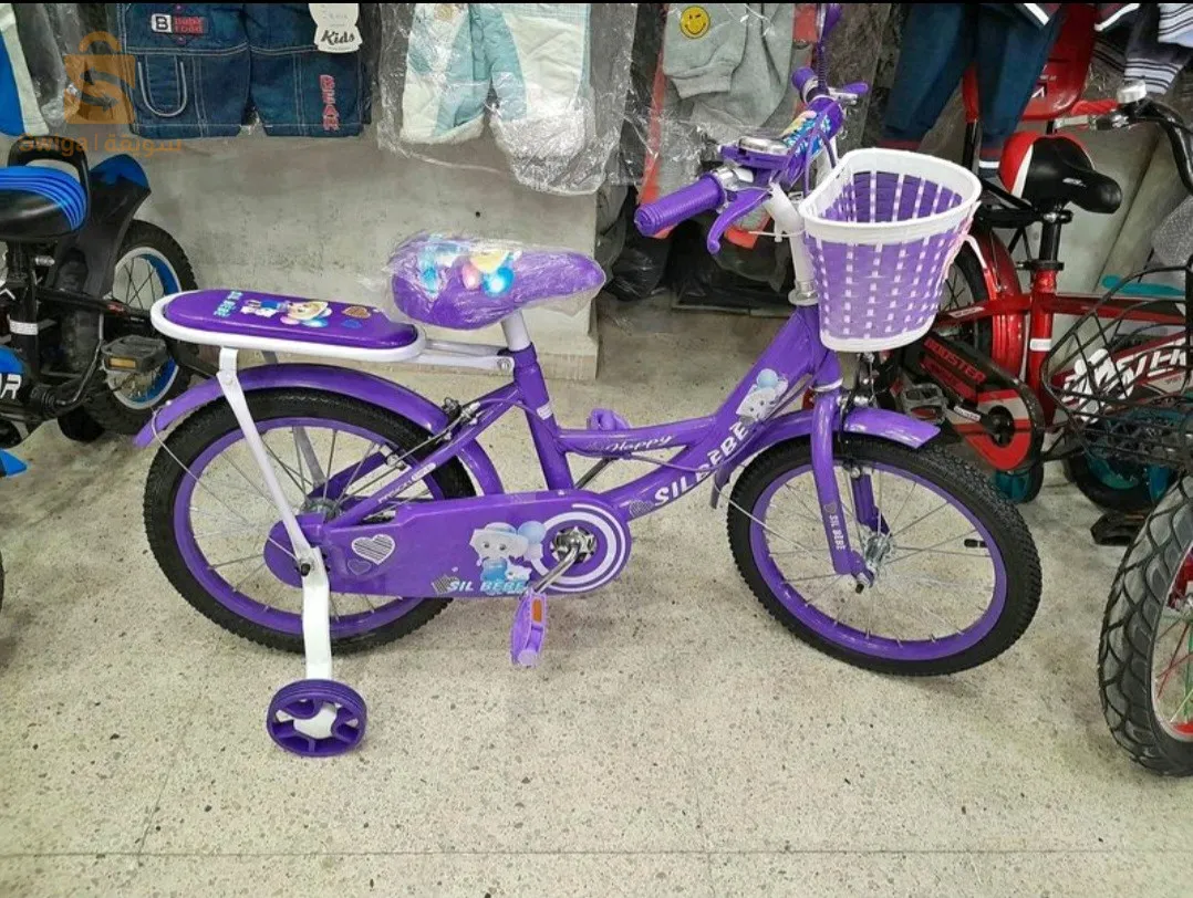 فيلو إناث 16 بوس