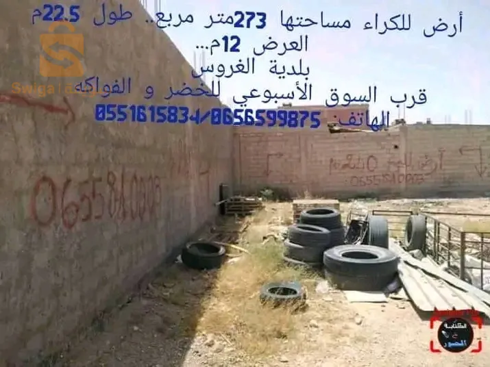 بلدية الغروس ولاية بسكرة قرب السوق الاسبوعي لخضر و الفواكه